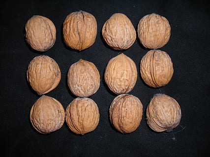 nuts, walnuts, buttons, hell, brown, food and drink, food, nut, nut - food, black background, wellbeing, healthy eating, still life, freshness, indoors, directly above, studio shot, no people, group of objects, in a row, almond, close-up, arrangement, dried food, side by side, snack, 2K, CC0, public domain, royalty free