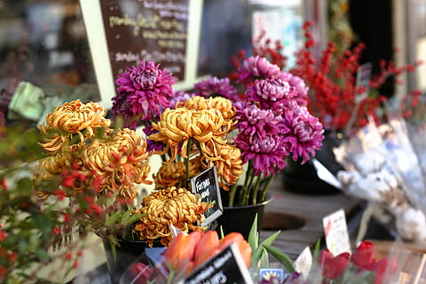 immer noch, Artikel, Dinge, Blumen, Strauß, Lebensmittelgeschäft, Markt, verkaufen, Farben, Blume, blühende Pflanze, Pflanze, Frische, Schönheit in der Natur, Blumenschmuck, Zerbrechlichkeit, Verletzlichkeit, Wahl, Verkauf, Variation, Natur, keine Leute, Nahansicht, Blütenkopf, Tag, Blumengeschäft, Anordnung, draußen, Blumenstrauß, Verkaufsdisplay, 5K, CC0, gemeinfrei, lizenzfrei