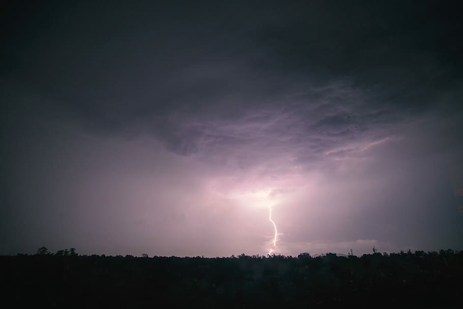 silueta, arbres, gris, núvols, trons, nit, vaga de trons, cel, llamps, llum, fosc, núvol, arbre, bosc, paisatge, art, pel·lícula, bellesa, naturalesa, poder a la natura, núvol - cel, tempesta, bellesa a la natura, poder, llamps bifurcats, núvol de tempesta, cel dramàtic, signe, cap gent, senyal d'advertència, medi ambient, escenics - natura, comunicació, a l'aire lliure, clima extrem, porpra, ominós, 5K