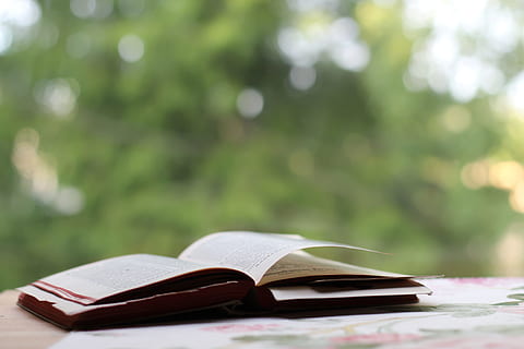 ha aperto, libro, tavolo, libro aperto, foresta, alberi, nessuno, concentrarsi sulle conoscenze acquisite, giorno, formazione scolastica, all'aperto, pubblicazione, Aperto, carta, pagina, apprendimento, natura morta, messa a fuoco selettiva, assenza, natura, luce del sole, letteratura, pianta, saggezza, studiando, 5K, CC0, dominio pubblico, privo di copyright