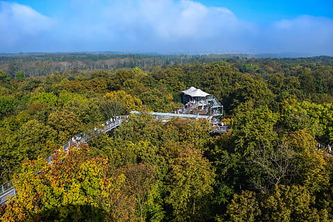 Baumkrone, Pfad, Wald, Bäume, Baumkronenweg, Landwirtschaft, High Angle View, draußen, keine Leute, Tag, Natur, Baum, Pflanze, die Architektur, gebaute Struktur, Gebäudehülle, Herbst, Szenen - Natur, Landschaft, Gebäude, Wachstum, Umgebung, Schönheit in der Natur, Berg, grüne Farbe, Land, Himmel, Veränderung, 5K, CC0, gemeinfrei, lizenzfrei