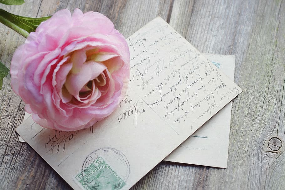 rosa, flor, targeta de felicitació, postal, mapa, Font, vell, vintage, postals amb imatges, tancar, memòries, nostàlgia, bouquet, material de fusta, amor, taula, flor de roses, fons, romanç, planta amb flors, planta, color rosa, bellesa a la natura, primer pla, paper, vista d’angle alt, frescor, document, cap gent, cap de flor, comunicació, text, vulnerabilitat, fragilitat, emoció positiva, carta d’amor, arranjament floral, 5K