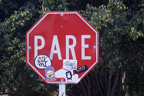 halt, Signal, Zeichen, Kommunikation, Text, Pflanze, Warnschild, westliche Schrift, rot, Straßenschild, Baum, Straße, Information, Großbuchstabe, Natur, keine Leute, Tag, Hinweisschild, Nahansicht, Beratung, draußen, Stoppschild, 4K, CC0, gemeinfrei, lizenzfrei