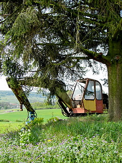 Bagger, Baumaschine, Schrott, alt, Schaufel, Pflanze, Baum, Land, Transportmittel, grüne Farbe, Gras, Feld, Natur, Wachstum, Transport, Tag, Landfahrzeug, keine Leute, verlassen, draußen, obsolet, Landschaft, beschädigt, Nicht-städtische Szene, Ruhe, Verschlechterung, 2K, CC0, gemeinfrei, lizenzfrei