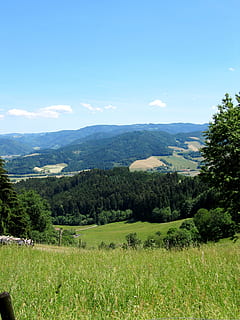 foresta Nera, vista, paesaggio, vista distante, pianta, scenics - natura, bellezza nella natura, albero, scena tranquilla, ambiente, cielo, la tranquillità, colore verde, crescita, terra, erba, scena non urbana, natura, campo, giorno, montagna, nessuno, idilliaco, all'aperto, paesaggio ondulato, 2K, CC0, dominio pubblico, privo di copyright