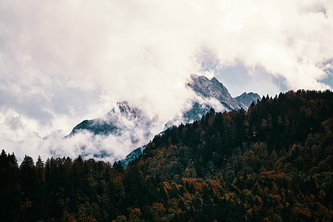 superior, vista, muntanya, cobert, núvol, durant el dia, arbre, bosc, boira, cremar, ennuvolat, estiu, estiu indi, vermell, nebel, escenics - natura, bellesa a la natura, escena tranquil·la, cel, núvol - cel, planta, escena no urbana, tranquil·litat, naturalesa, cap gent, Serra, medi ambient, idíl·lic, terra, creixement, paisatge, remot, a l'aire lliure, pi, cim de muntanya, arbre de coníferes, formació, 8K, CC0, domini públic, lliure de regalies
