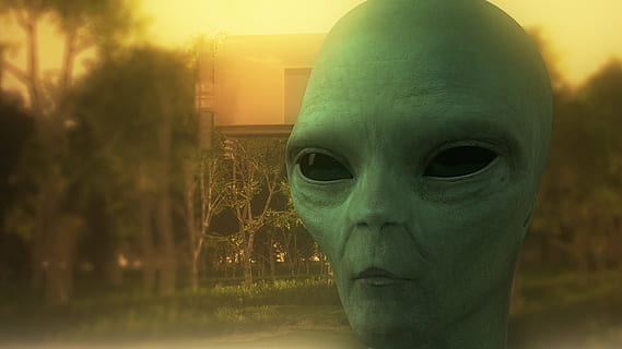 merapatkan, foto, hijau, asing, ilustrasi kepala, orang asing, Model 3d, benda terbang aneh, ruang, alam semesta, pawai kelinci, fantastis, pendatang, martian, tamu, piring terbang, lepek, penculikan, representasi manusia, kengerian, matahari terbenam, tidak ada orang, perayaan, menyeramkan, takut, halloween, alam, Arsitektur, di luar rumah, perwakilan, Misteri, agama, menyamarkan, menanam, langit, 1080P, CC0, domain publik, bebas royalti