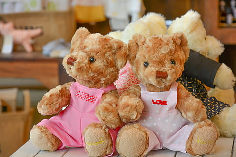 legetøj, dukke, bære, Bamse, barndom, lodne, gave, nuttet, blød, fødselsdag, dekoration, tøjdyr, indendørs, barn, cookie, mad, kun børn, dag, sidder, pattedyr, dyr repræsentation, repræsentation, hunde, hund, dyr, dyre temaer, husdyr, kæledyr, ingen mennesker, indenlandske, blødhed, Brun, uskyld, lille, 5K, CC0, offentligt domæne, royaltyfrie