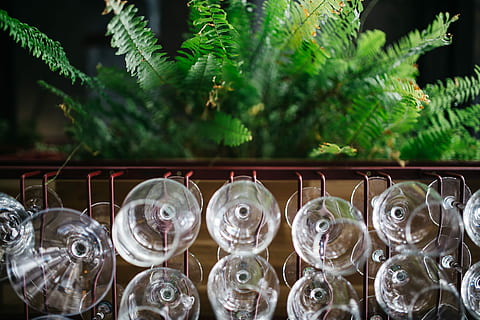 gros, bouquet, verres à vin, pendaison, titulaire, restaurant, bar, vide, des lunettes, du vin, à l'intérieur, de l'alcool, fragile, cristal, verre de vin, métal, industrie, personne, aluminium, usine, fermer, plante, couleur verte, grand groupe d'objets, se concentrer sur le premier plan, la nature, journée, cote à cote, Nourriture et boisson, croissance, dans une rangée, arrangement, verre - matériel, transparent, nature morte, récipient, verre, 4K, CC0, domaine public, libre de droits