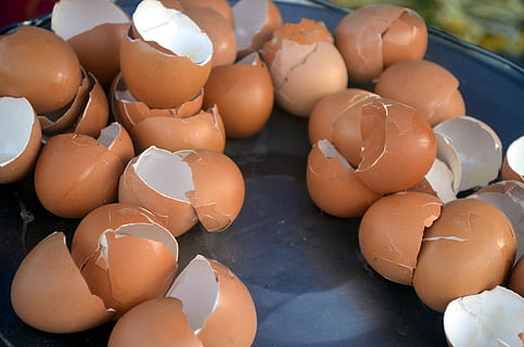 ou, coajă, scoici, spart, gătire, pui, alimente, mancare si bautura, mâncat sănătos, bunăstare, prospeţime, maro, eggshell, nici o persoana, natură moartă, mancare cruda, în interior, a închide, grup mare de obiecte, vulnerabilitate, fragilitate, crăpat, vedere în unghi mare, gălbenuș de ou, 1080P, CC0, domeniu public, fără drepturi de autor