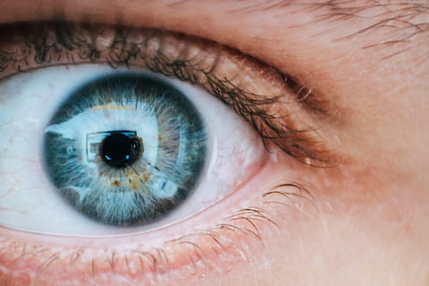 person, teal, yellow, left, eye, blue, close -up, eyeball, eyebrow, eyelash, eyesight, hair, human, sight, skin, vision, woman, human eye, human body part, sensory perception, close-up, body part, one person, extreme close-up, iris - eye, portrait, blue eyes, adult, looking at camera, macro, human face, full frame, eyelid, 5K, CC0, public domain, royalty free