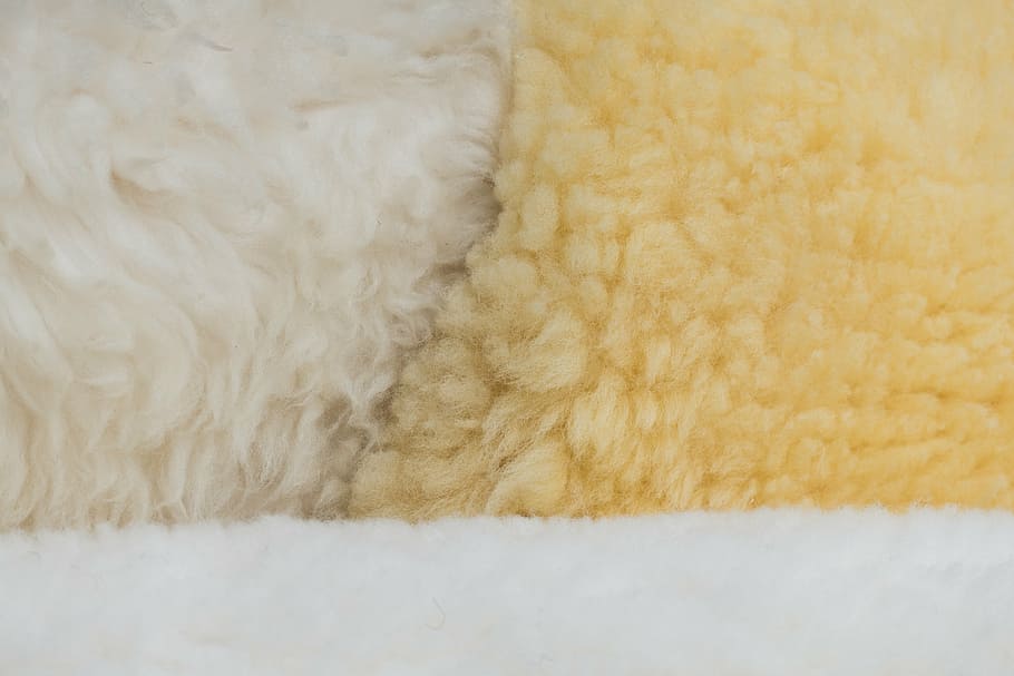 pell, pell d'ovella, estructura, textura, suau, feliç, fons, superfície, esponjós, llana, tèxtil, cap gent, a l'interior, primer pla, Color blanc, suavitat, groc, fibra, marc complet, material, pèl d’animals, animals domèstics, animal, cotó, mamífer, 5K