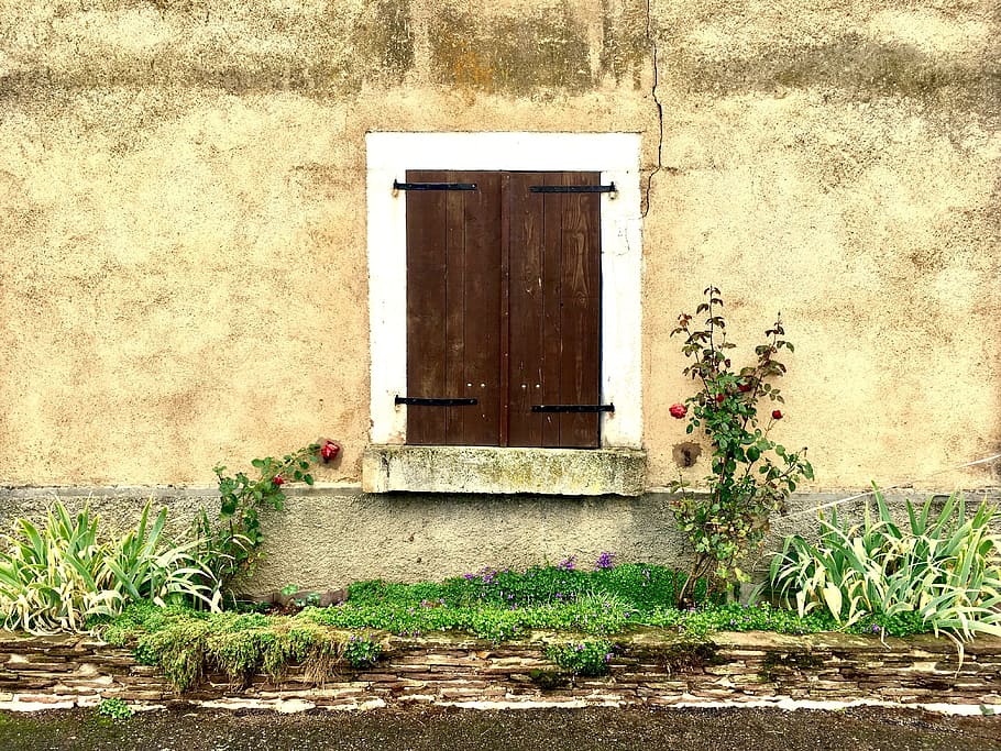 roser, hjem, vindue, baggrund, årgang, nostalgi, kunst, skodder, arkitektur, bygget struktur, bygning udvendig, dør, indgang, plante, lukket, bygning, hus, dag, ingen mennesker, natur, udendørs, murbygningsfunktion, boligområde, sikkerhed, vækst, grøn farve, 4K
