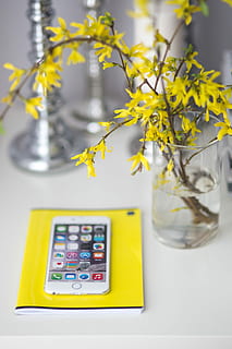 smartphone, yellow, flowers, White, notebook, mobile phone, cell phone, notepad, digital Tablet, technology, touch Screen, equipment, table, computer, internet, flower, communication, wireless technology, vase, close-up, no people, plant, flowering plant, indoors, nature, connection, portable information device, smart phone, freshness, focus on foreground, still life, 4K