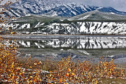 sø, ørkenen, afspejling, bjerge, sø, ødemark, sne, natur, landskab, naturskøn, naturlig, scenics, bjerg, bjergkæde, ingen mennesker, udendørs, dag, kold temperatur, vand, skønhed i naturen, vinter, scenics - natur, ro, miljø, plante, rolig scene, ikke-urbane scene, snedækket bjerg, 4K, CC0, offentligt domæne, royaltyfrie