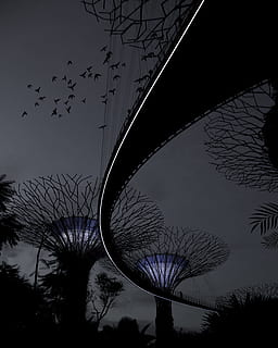 Silhouette, Brücke, kahl, Bäume, Marina Bay Garden, Singapur, jdm, Nacht-, Baum, Himmel, schwarze Farbe, kahler Baum, die Architektur, fliegend, Vogel, Tierthemen, Tiere in freier Wildbahn, Wirbeltier, Tier, Pflanze, Dämmerung, Tierwelt, große Gruppe von Tieren, Natur, Gruppe von Tieren, keine Leute, gebaute Struktur, Flachwinkelansicht, Vogelschwarm, draußen, 4K, CC0, gemeinfrei, lizenzfrei