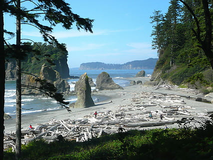 rubis, plage, plage, washington, Etats-Unis, paysage, rubis, plage, Washington, littoral, pacifique, parc national olympique, la nature, roches, eau, océan, côte, buttes, Montagne, mer, ciel, arbre, plante, beauté dans la nature, journée, paysages - nature, terre, scène tranquille, tranquillité, Roche, croissance, en plein air, personne, Voyage, 2K, CC0, domaine public, libre de droits