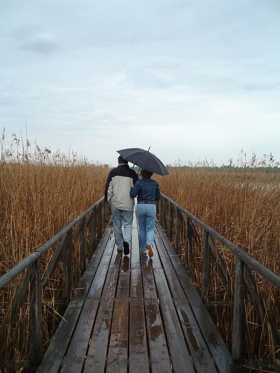 lluny, parell, pantalla, caminar, naturalesa, junts, per dos, web, pluja, parella sota la pluja, longitud completa, una persona, adult, només adults, un sol home, protecció, persones reals, cel, planta, dia, paisatge, terra, paraigua, de peu, camp, vista del darrere, escena rural, agricultura, seguretat, estils de vida, a l'aire lliure, 1080P