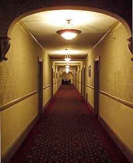 rød, hallway runner, dør, korridor, sti, tunnel, lys, indgang, mørk, passage, Hotel, Skotland, hal, væg, tom, entre, loft, gangbro, lampe, indendørs, arkitektur, ingen mennesker, vejen frem, retning, belysningsudstyr, arkade, belyst, faldende perspektiv, bygning, bygget struktur, forsvindingspunkt, gulve, fravær, bue, lang, elektrisk lampe, 1080P, CC0, offentligt domæne, royaltyfrie