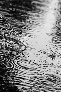 puddle, water, rain, drops, rippled, full frame, no people, nature, backgrounds, lake, day, tranquility, waterfront, motion, high angle view, surface, outdoors, water surface, beauty in nature, selective focus, drop, concentric, purity, raindrop, 5K, CC0, public domain, royalty free