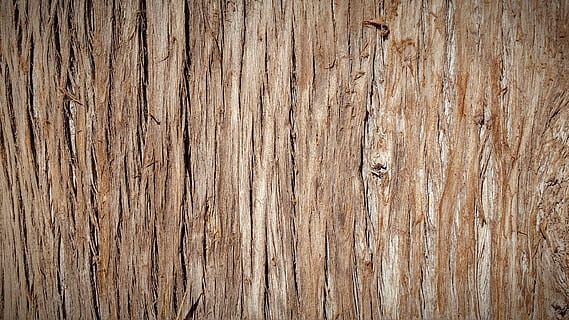 tronco, latido, casca de árvore, natureza, madeira, árvore, textura, textura de casca de árvore, madeira - material, origens, prancha, padronizar, material, Castanho, rude, texturizado, velho, pavimento, abstrato, quadro completo, grão de madeira, ninguém, fechar-se, recurso de construção de parede, folhosa, intemperizado, estragado, dia, ao ar livre, efeito texturizado, unha, Pinhal, 4K, CC0, domínio público, royalty free