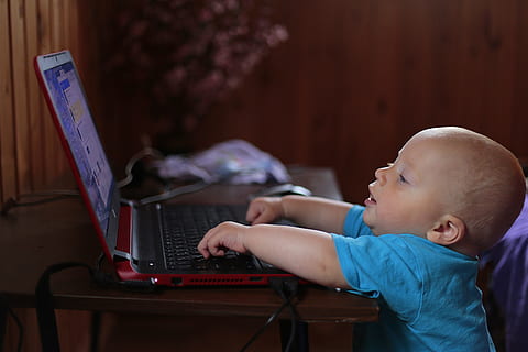 Brzdąc, ma na sobie, niebieski, koszula, za pomocą, laptop, dziecko, notatnik, komputer, uczy się, ciekawość, pc, uśmiech, piękno, online, połączenie, urządzenie, szczęśliwy, technologia, dzieciństwo, niemowlę, młody, porozumiewanie się, technologia bezprzewodowa, wewnątrz, widok z boku, ludzie, mężczyźni, skupić się na pierwszym planie, niewinność, gra, emocja, za pomocą laptopa, widok profilu, 5K, CC0, domena publiczna, darmowe zdjęcia