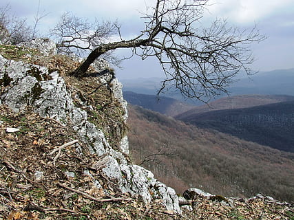 mélység, pes-kő, bükk hegy, szikla, erdő, természet, tavaszi, fa, nyugalom, növény, ég, szépség a természetben, festmények - természet, nyugodt jelenet, hegy, csupasz fa, nap, nem ember, nem városi színtéren, ág, fatörzs, szabadban, környezet, törzs, föld, tájkép, 2K, CC0, közkincs, jogdíjmentes