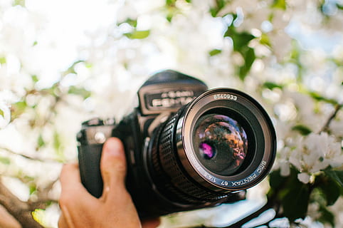 colpo di macro, nero, fotocamera dslr, persona, detenzione, telecamera, lente, mano, luce, film, Vintage ▾, tenere, all'aperto, len, temi fotografici, macchina fotografica - attrezzatura fotografica, Fotografare, parte del corpo umano, una persona, mano umana, pianta, obiettivo - strumento ottico, attrezzatura fotografica, attività, fiore, tecnologia, concentrarsi sulle conoscenze acquisite, giorno, pianta fiorita, natura, Camera digitale, fotografo, fotocamera reflex, dito, 4K, CC0, dominio pubblico, privo di copyright
