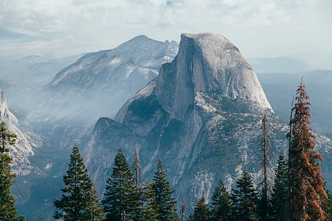 pins, Montagne, devant, couvert, neige, arbre, de pointe, sommet, beauté dans la nature, paysages - nature, chaîne de montagnes, scène tranquille, environnement, ciel, tranquillité, scène non urbaine, la nature, température froide, nuage - ciel, idyllique, sommet de la montagne, paysage, personne, journée, en plein air, montagne au sommet enneigé, formation, pin, conifère, 2K, CC0, domaine public, libre de droits