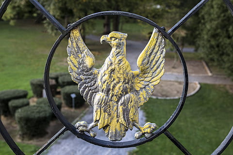 jern smede, Ørn, barriere, fokusere på forgrunnen, dag, ingen folk, skulptur, natur, nærbilde, kreativitet, metall, kunst og Håndverk, representasjon, anlegg, vann, statue, utendørs, gjerde, grense, menneskelig representasjon, sikkerhet, 5K, CC0, offentlig domene, opphavsrett gratis