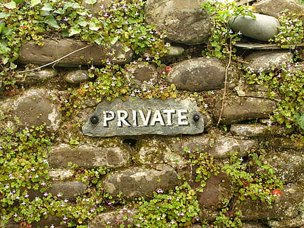 privat, paret, cobert, escut, nota, signe, resistent, vell, text, cap gent, planta, dia, comunicació, primer pla, guió occidental, sòlid, rock, pedra, naturalesa, creixement, a l'aire lliure, rock - object, full, pedra - objecte, part de la planta, script no occidental, guió, 2K, CC0, domini públic, lliure de regalies