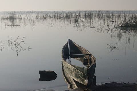 grigio, barca, lago, Barche, acqua, galleggiante, vuoto, ancora, calma, natura, pietre, erbe, panoramico, scenario, la tranquillità, tranquillo, calmo, ambiente, buio, nave nautica, all'aperto, riflessione, mezzi di trasporto, modo di trasporto, nessuno, scena tranquilla, giorno, bellezza nella natura, scenics - natura, cielo, scena non urbana, ormeggiato, spiaggia, lungomare, barca a remi, 1080P, CC0, dominio pubblico, privo di copyright