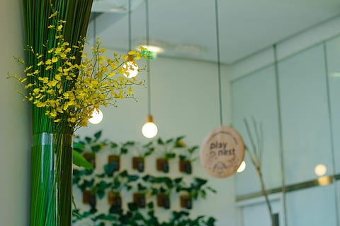 ușoară, bec, interior, proiecta, floare, plantă, perete, decor, planta cu flori, agăţat, să se concentreze asupra primelor elemente, iluminat, echipamente de iluminat, în interior, nici o persoana, natură, sticlă - material, celebrare, a închide, arhitectură, selectiv, galben, zi, tavan, 5K, CC0, domeniu public, fără drepturi de autor