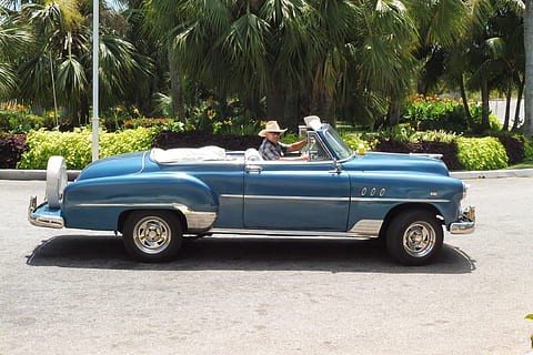 home, muntar a cavall, blau, convertible, coupe, Palmera, cuba, automàtic, oldtimer, clàssic, blau, clàssic, automoció, cotxe americà, companys, 50, cotxe, dues persones, transport, parella heterosexual, manera de transport, automòbil, vehicle terrestre, arbre, clima tropical, dia, persones reals, planta, naturalesa, carretera, activitat d'oci, estils de vida, a l'aire lliure, homes, viatjar, luxe, parella - relació, 4K, CC0, domini públic, lliure de regalies