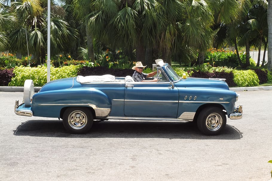 home, muntar a cavall, blau, convertible, coupe, Palmera, cuba, automàtic, oldtimer, clàssic, blau, clàssic, automoció, cotxe americà, companys, 50, cotxe, dues persones, transport, parella heterosexual, manera de transport, automòbil, vehicle terrestre, arbre, clima tropical, dia, persones reals, planta, naturalesa, carretera, activitat d'oci, estils de vida, a l'aire lliure, homes, viatjar, luxe, parella - relació, 4K