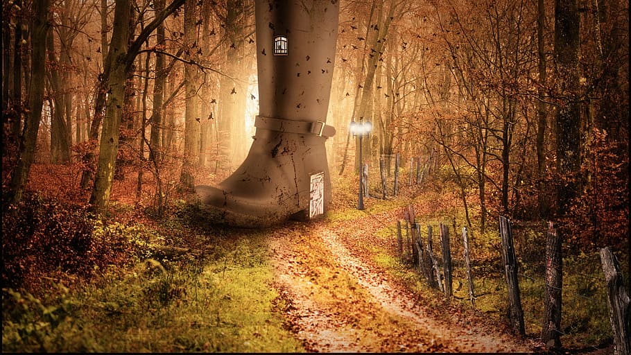 marró, buckled, arrencada, mig, carretera, envoltat, arbres, obra d'art, colors de la tardor, composició, porta, tanca, bosc, càlid, tronc de l'arbre, arbre, naturalesa, dia, cap gent, a l'aire lliure, planta, tronc, terra, creixement, camp, medi ambient, bellesa a la natura, tranquil·litat, escena no urbana, tardor, escenics - natura, llum solar, canvi, 2K