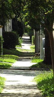 camino, calle, quietud, planta, arquitectura, árbol, naturaleza, nadie, el camino a seguir, dirección, luz del sol, sendero, día, al aire libre, estructura construida, crecimiento, parque, hierba, color verde, parque - espacio hecho por el hombre, en una fila, escalera, patio delantero o trasero, sendero del jardín, cobertura, 4K, CC0, dominio público, libre de derechos