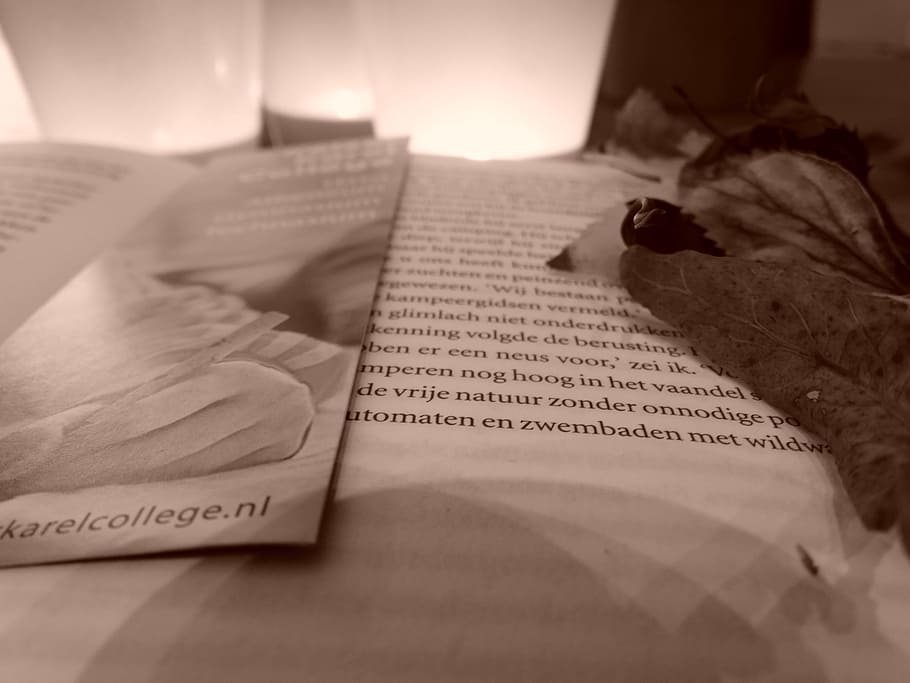 segno del libro, libro, carta, leggere, libri, nero, bianca, foglio, leggere libri, libro letto, dalla lettura, opuscolo, testo, pubblicazione, sceneggiatura occidentale, comunicazione, in casa, avvicinamento, nessuno, Aperto, pagina, messa a fuoco selettiva, tavolo, formazione scolastica, natura morta, competenza, saggezza, illuminato, fiore, 2K