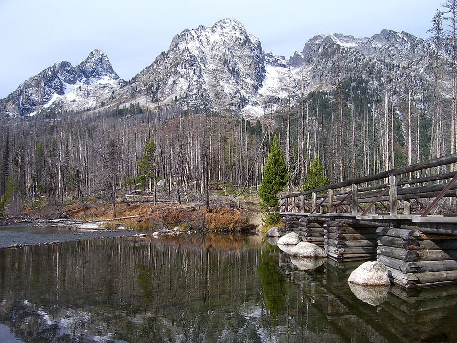 llac de corda, aigua, reflexions, pont, fusta, parc nacional grand teton, wyoming, muntanyes, neu, bosc, arbres, boscos, línia de costa, muntanya, bellesa a la natura, escenics - natura, hivern, naturalesa, temperatura de fred, dia, llac, tranquil·litat, escena tranquil·la, Serra, escena no urbana, cap gent, reflexió, cel, arbre, a l'aire lliure, formació, muntanya nevada, cim de muntanya, 2K