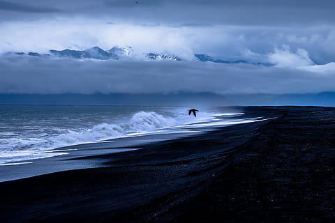 hav, daggry, landskab, natur, strand, fugl, skyer, overskyet, dramatisk, flyvende, dyster, ocean, sand, marinemaleri, kysten, himmel, storm, sommer, solnedgang, vand, bølger, sky - himmel, jord, en person, bølge, sport, skønhed i naturen, bevægelse, scenics - natur, surfing, horisont over vand, horisont, vandsport, eventyr, 4K, CC0, offentligt domæne, royaltyfrie