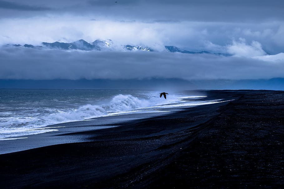hav, daggry, landskab, natur, strand, fugl, skyer, overskyet, dramatisk, flyvende, dyster, ocean, sand, marinemaleri, kysten, himmel, storm, sommer, solnedgang, vand, bølger, sky - himmel, jord, en person, bølge, sport, skønhed i naturen, bevægelse, scenics - natur, surfing, horisont over vand, horisont, vandsport, eventyr, 4K