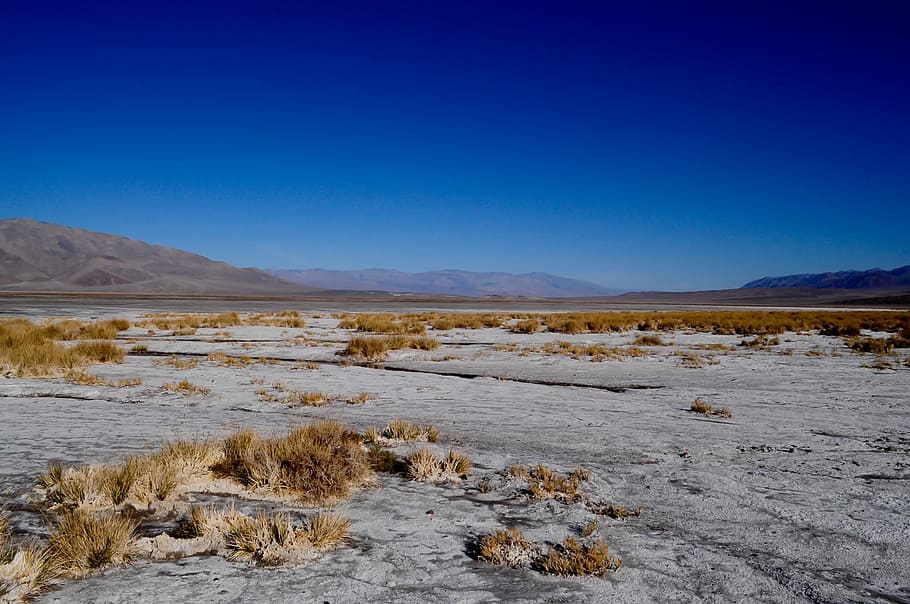 Fotografie, Dessert, getrocknet, Pflanzen, Foto, einfach, Feld, klar, Blau, Himmel, Wüste, Rock, Berg, Gras, blauer Himmel, Natur, Vereinigte Staaten von Amerika, Todes-Tal, небо, горы, пустыня, Szenen - Natur, Landschaft, Umgebung, keine Leute, Land, klarer Himmel, ruhige Szene, Wasser, Tag, Nicht-städtische Szene, Schönheit in der Natur, Ruhe, Fernbedienung, Gebirge, trockenes Klima, Klima, Salzebene, halbtrocken, 2K