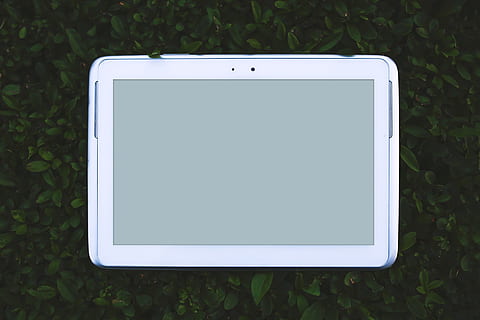 spento, bianca, Tablet, bianco, tavoletta, mobile, dispositivo, computer, ipad, androide, palmare, schermo, display, erba, all'aperto, tecnologia, schermo del dispositivo, comunicazione, vuoto, campo, tecnologia wireless, connessione, dispositivo di informazione portatile, nessuno, smart phone, cellulare, avvicinamento, touch screen, Colore bianco, direttamente sopra, apparecchiature di telecomunicazione, pianta, vista dall'alto, colore verde, copia spazio, 1080P, CC0, dominio pubblico, privo di copyright