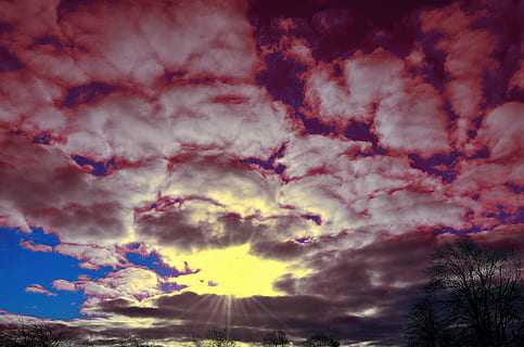 solopgang, skyer, himmel, rød, blå, natur, morgen, træ, træer, baggrund, lys, effekt, sol, gul, sky - himmel, skønhed i naturen, scenics - natur, ro, rolig scene, ingen mennesker, dramatisk himmel, lav vinkel visning, multi farvet, cloudscape, idyllisk, solnedgang, udendørs, majestætisk, levende farve, ærefrygt, meteorologi, lilla, lyse, ildevarslende, 4K, CC0, offentligt domæne, royaltyfrie