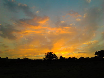 solar, clouds, tree, sky, sunset, cloud - sky, silhouette, beauty in nature, tranquility, tranquil scene, scenics - nature, environment, plant, no people, landscape, orange color, non-urban scene, idyllic, nature, land, dramatic sky, field, 720P, CC0, public domain, royalty free