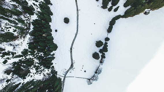 sentiero di neve bianca, superiore, vista, piante, alberi, pino, vista dall'alto, aereo, la neve, ghiaccio, congelato, foresta, natura, inverno, recinzione,, temperatura fredda, giorno, all'aperto, orma di Zampa, nessuno, un animale, avvicinamento, Colore bianco, bellezza nella natura, la tranquillità, copertura, albero, pianta, terra, campo, scenics - natura, scena non urbana, montagna innevata, neve polverosa, 4K, CC0, dominio pubblico, privo di copyright