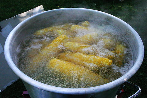 Mais, Sieden, Gemüse, organisch, Lebensmittel, gekocht, Kochen, Abendessen, Hitze - Temperatur, Essen und Trinken, keine Leute, Nahansicht, High Angle View, Container, Küchenutensilien, Dampf, Tag, draußen, Stillleben, Vorbereitung, Frische, Schüssel, Natur, Haushaltsausstattung, Rauch - physische Struktur, Snack, 2K, CC0, gemeinfrei, lizenzfrei