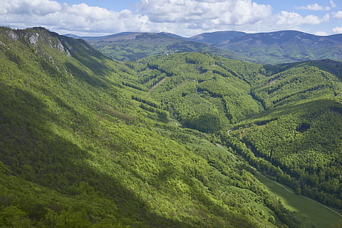 muran, pilis, Peržiūrėjo, slovakija, Šalis, debesys, žalias, kalnai, pobūdį, saulė, apšvietimas, miškas, vaizdai - gamta, grožis gamtoje, kalnas, kraštovaizdį, aplinką, žalia spalva, žemės, ramybė, ramioje scenoje, kaimo scenoje, dangus, debesis - dangus, augalų, augimą, nėra žmonių, arbatos derlius, Žemdirbystė, kalnų, lauke, plantacija, 5K, CC0, Viešasis domenas, nemokamai