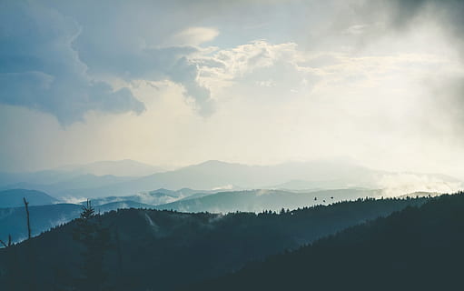 aerial, photography, mountain, mountain during daytime, silhouette, twilight, tree, landscape, bird, nature, fog, scenics, sky, outdoors, cloud - Sky, mountain Range, mountain Peak, forest, mist, hill, beauty In Nature, cloudscape, no people, tranquility, scenics - nature, tranquil scene, environment, non-urban scene, plant, day, sunlight, idyllic, 2K, CC0, public domain, royalty free
