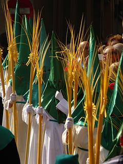kulkue, pääsiäinen uskonnollinen, katolinen, Espanja, asturias, Avilés, oikeita ihmisiä, miehet, vihreä väri, vapaa-ajan toiminta, ihmiset, juhla, kasvi, edestä, pysyvä, lähikuva, luonto, elämäntavat, ulkona, taide ja käsityö, ihmisen edustus, päivä, edustus, 4K, CC0, public domain, rojaltivapaa